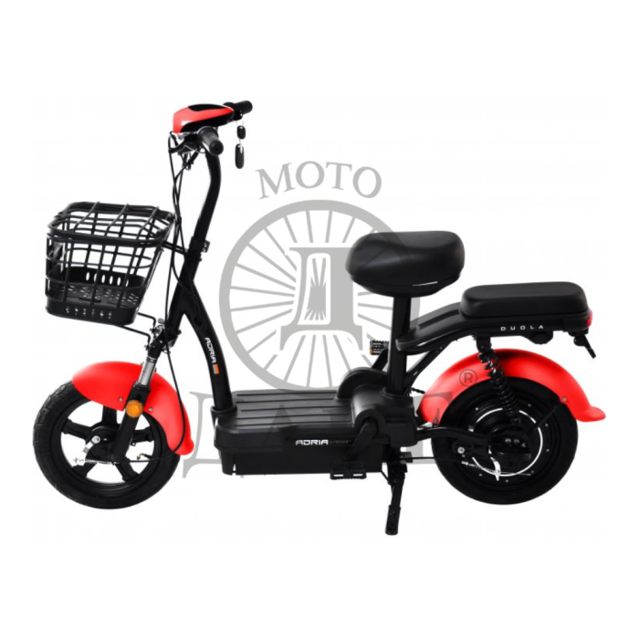 BICIKL E-BIKE RX20-48/T20-48