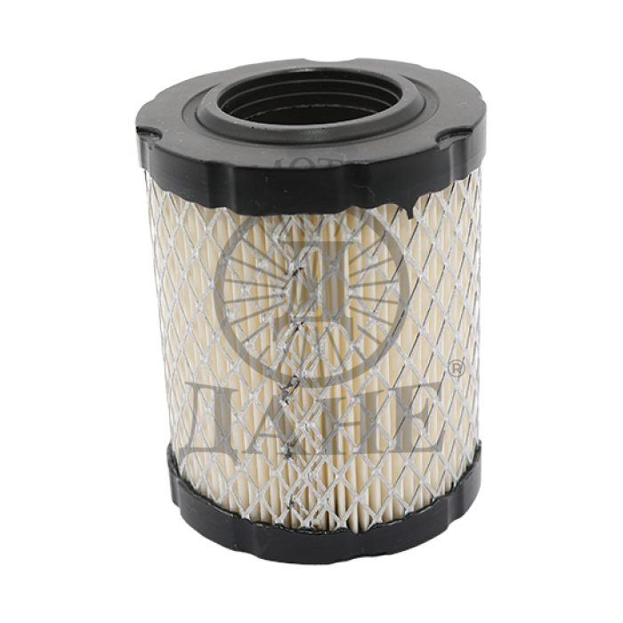 FILTER VAZDUHA B&S 796,032