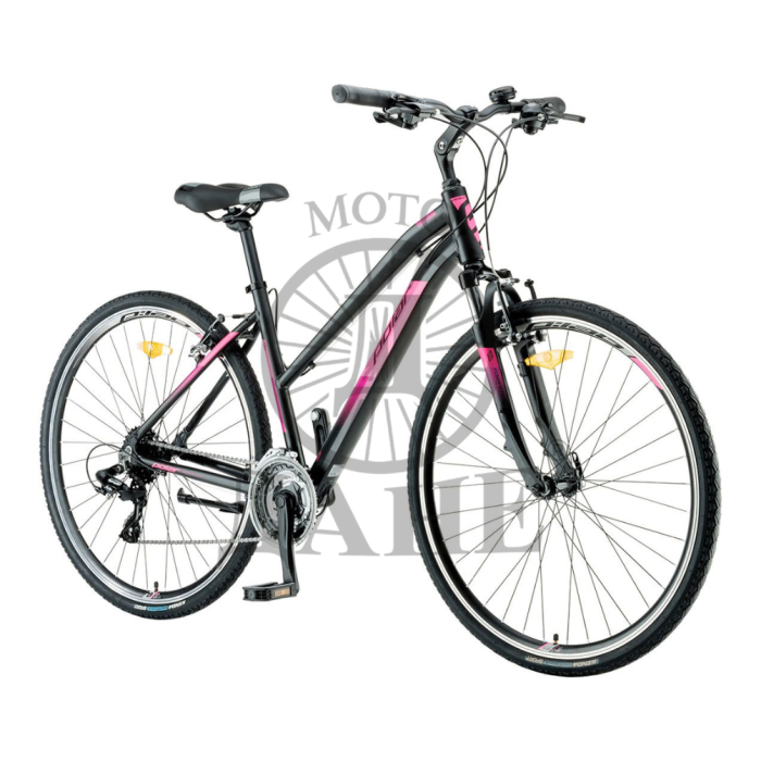 BIC.POLAR FORESTER COMP P282A16230-L-