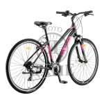 BIC.POLAR FORESTER COMP P282A16230-L-