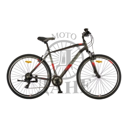 BICIKL POLAR FORESTER COMP