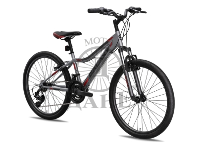 BICIKL GALAXY FESTINA FS 24″/18 SIVA/CRVENA