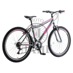 BIC.MACCINA SIERRA GREY-PINK 23