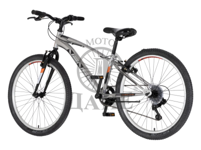 BICIKL JUNIOR 24 VENSSINI ARCADIA SREBRNA