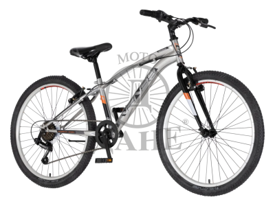 BICIKL JUNIOR 24 VENSSINI ARCADIA SREBRNA