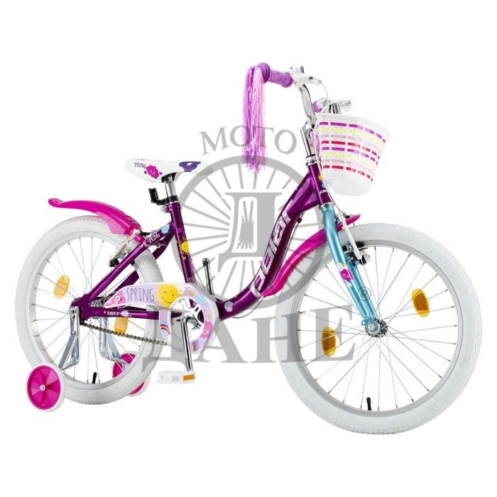 BIC.POLAR JR 20 SPRING