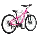 BIC.BOOSTER PLASMA 240 FS DISC PINK 26