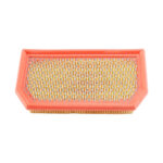 Filter vazduha HFA6113 Aprilia RS 660 / Tuono 660 Hiflo