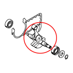 Radilica STIHL MS 341 361 THORP