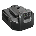 Standard punjač EGO POWER+ CH2100E – 210W