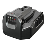 Standard punjač EGO POWER+  CH2100E – 210W